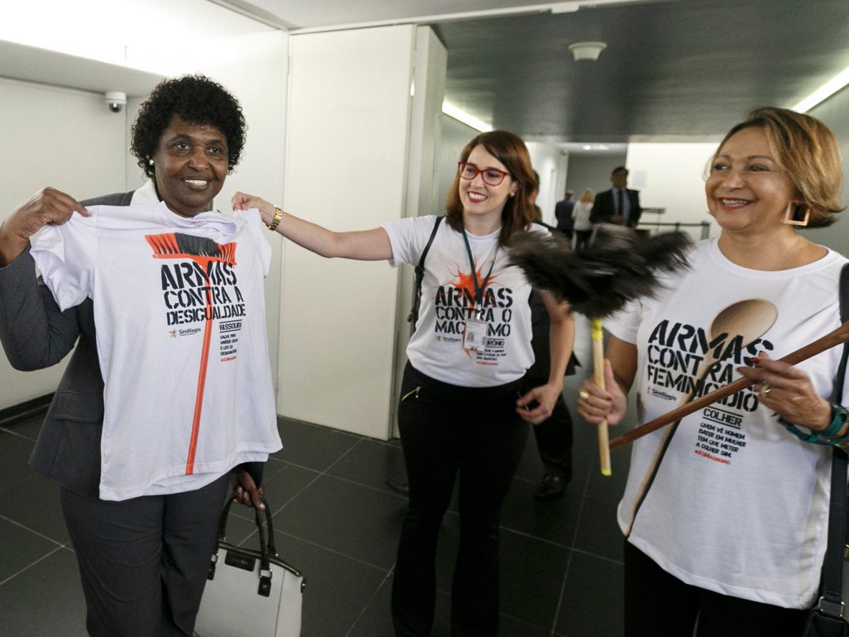 Afro-Brazilian Women Run for Office: The Answer to Underrepresentation